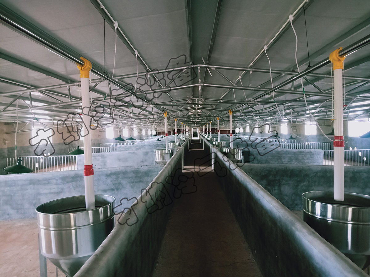 科弘农业中和镇养猪场料塔工程案例